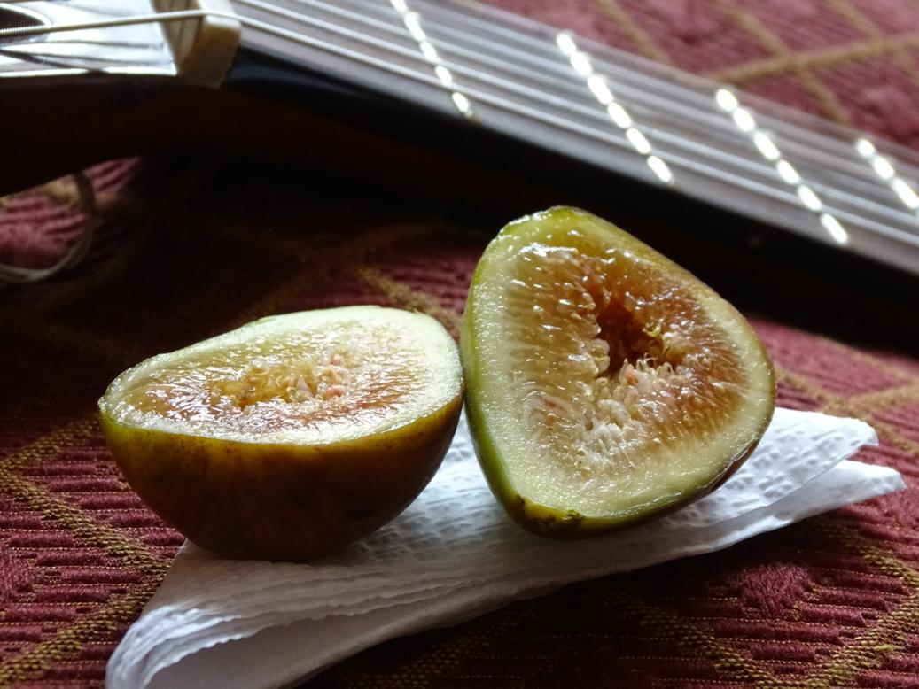 Higos y Guitarra