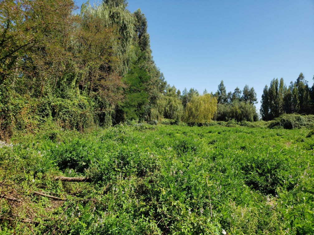 Parcela en Teno Norte