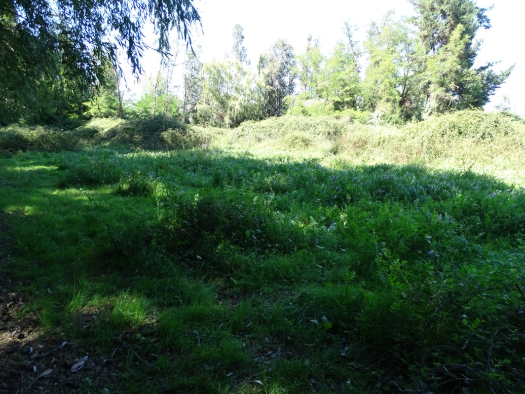 Teno 1